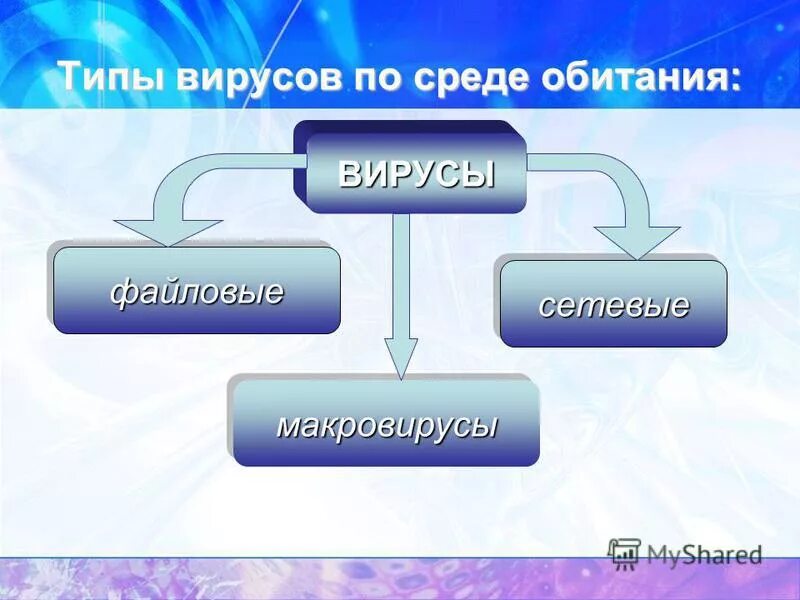 По среде обитания компьютерные вирусы делятся на. Компьютерные вирусы по среде обитания. Загрузочные вирусы примеры. По среде обитания вирусы делятся на. По среде обитания вирусы бывают.