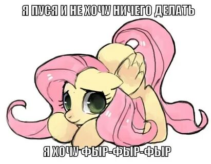 Зачем полез я в пусси песня текст