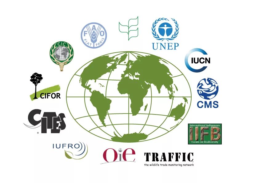 Оон окружающий мир. Международные экологические организации. Международные организации. Международные организации экологии. Международные организации по экологии.