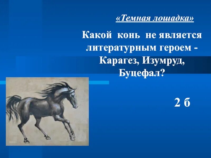 Карагез конь. Карагёз конь. Тёмная лошадка это какой человек. Конь Казбича. Казбич и конь.