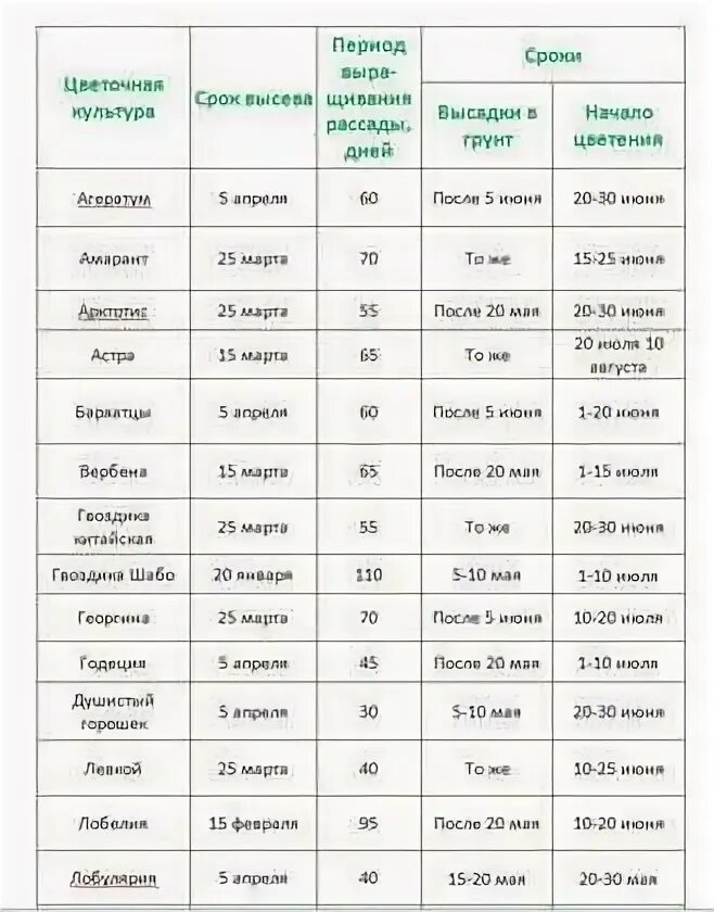 В какие дни можно высаживать рассаду. Таблица от посева до цветения однолетники. Сроки посева цветов на рассаду таблица. Таблица всходов рассады. Таблица даты высадки рассады однолетних цветов в грунт.