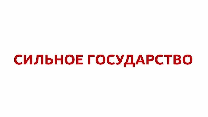 Сильное государство. «Сильное государство: управление и порядок в XXI веке». Силен государство