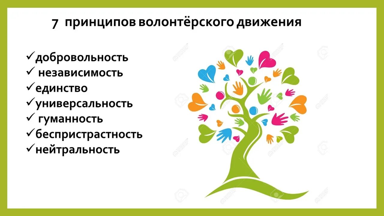 Важные качества волонтеров. Приципыволонтерского движения. Принципы волонтеров. Основные принципы волонтерской деятельности. Волонтеры культуры презентация.