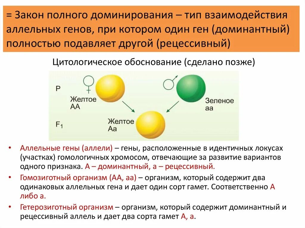 Генотип содержащий одинаковые аллели одного гена. Генотип содержащий одинаковые аллели одного гена