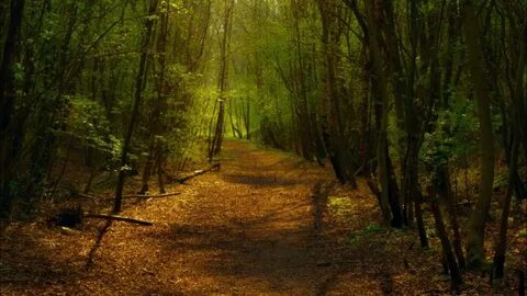 Find full path