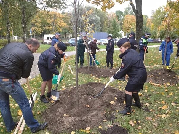 Участие в экологическом субботнике. Одежда для субботника. Экологический субботник. Субботник. Участие в экологическом субботнике.