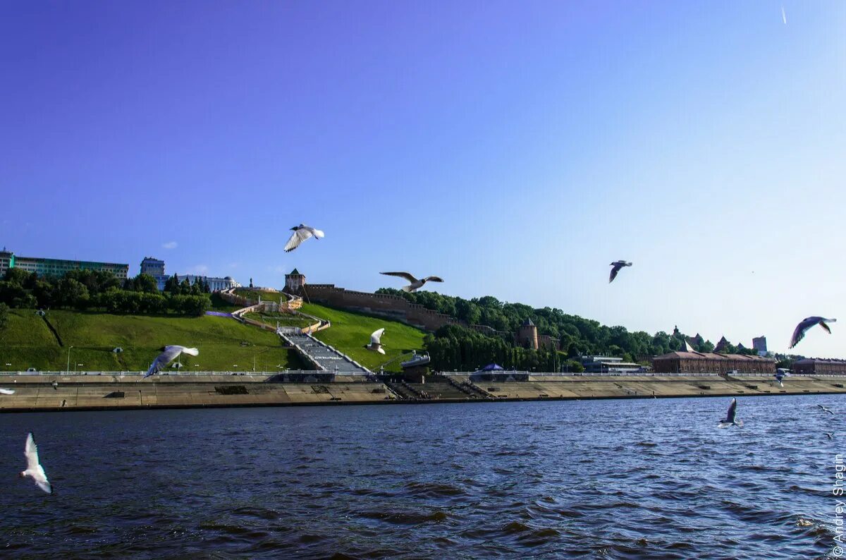 Экология региона нижегородской. Нижний Новгород река. Экология Нижегородской области фото для проекта.