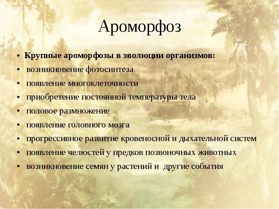 Установи соответствие между ароморфозом и эрой. Самые крупные ароморфозы. Примеры ароморфоза у растений. Ароморфоз человека примеры. Ароморфозы в эволюции.