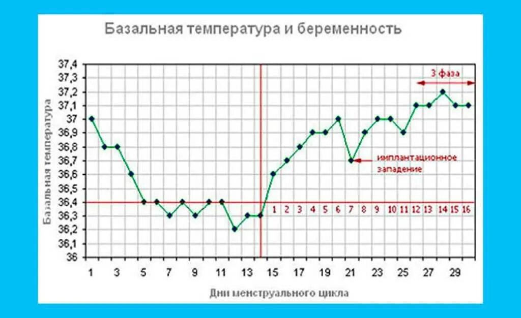 Базальная температура во время. График базальной температуры при цикле 28 дней. БТ имплантационное западение на графике БТ. Имплантационное западение на графике БТ. Базальная температура при беременности 36.7 36 7 на ранних сроках.