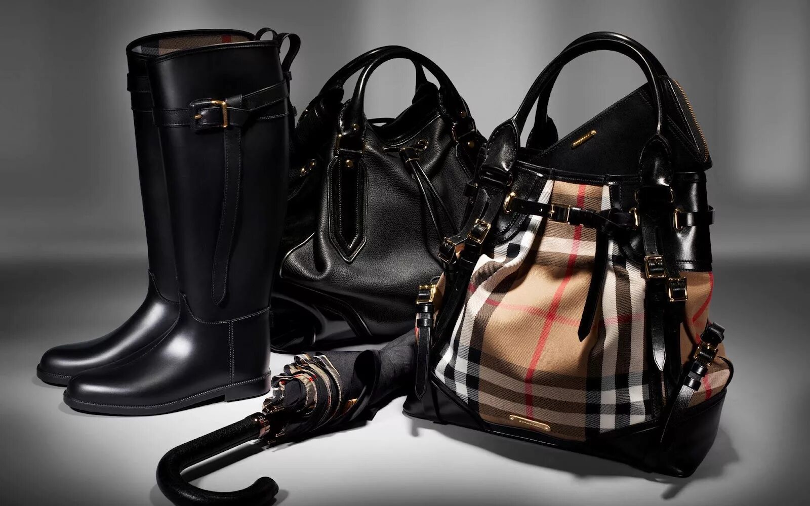 Аксессуары женской обуви. Сумка burberry 2012. одежда, обувь и аксессуары. сумка для обуви. женская обувь и сумки.