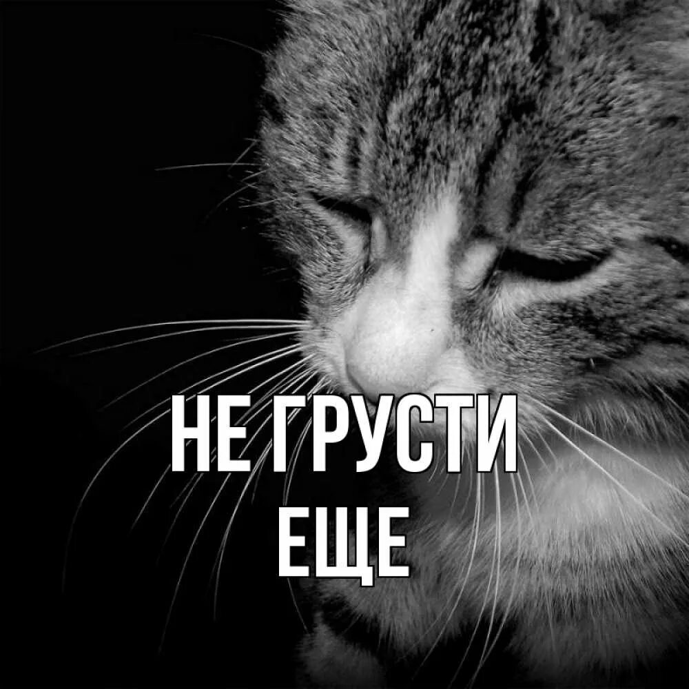 Не ю