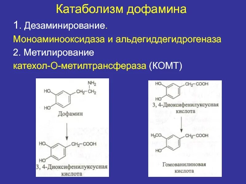 Какие есть дофамины. Какие есть дофамины