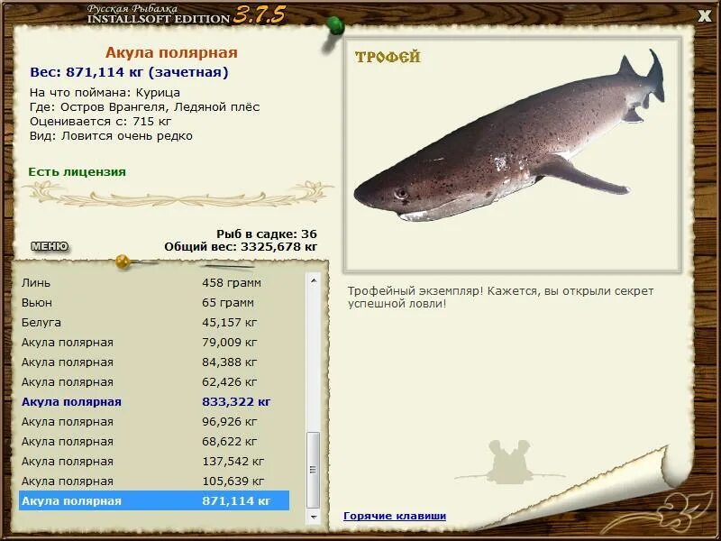 7 акула. полярная акула реальная рыбалка. русская рыбалка 3. полярная акула реальная рыбалка. акула полярная русская рыбалка.