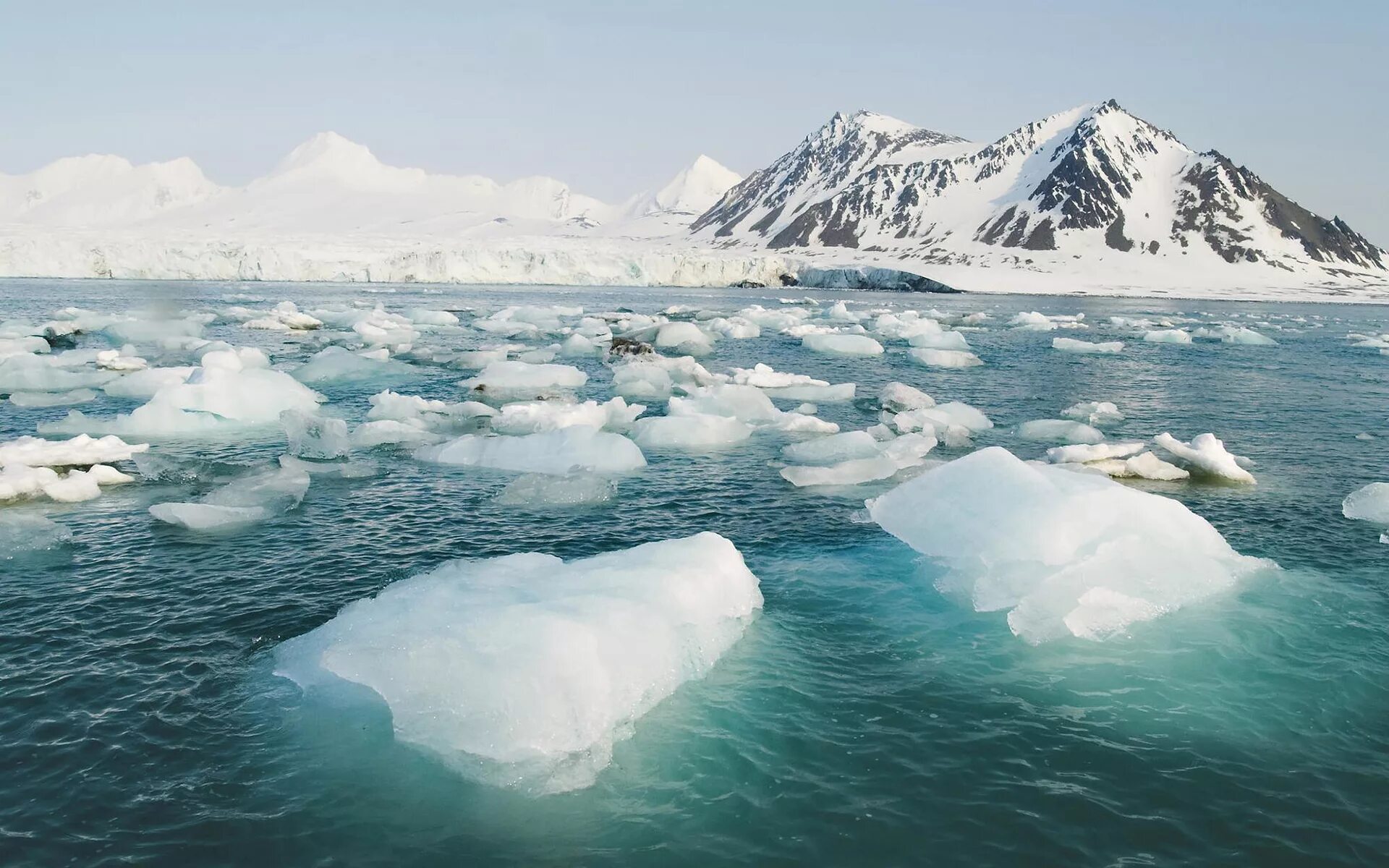 Арктика Северный Ледовитый океан. Арктика Северо Ледовитого океана. Северный полюс Северный Ледовитый океан. Северный Ледовитый океан и Антарктида. Северный ледяной океан