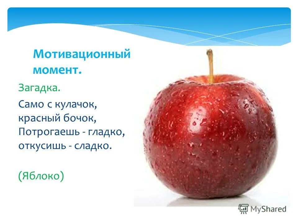 Яблоко какое имя прилагательное. Загадка про яблоко. Загадка про яблоко для детей. Загадка про яблоню. Загадка про яблоню для детей.