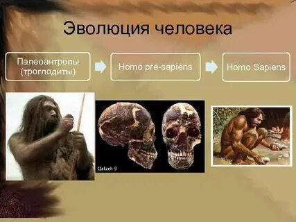 Биологические факторы австралопитеков