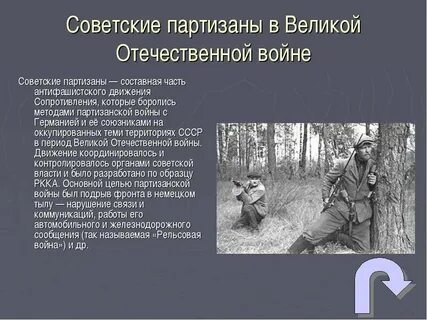 Первые партизаны в истории