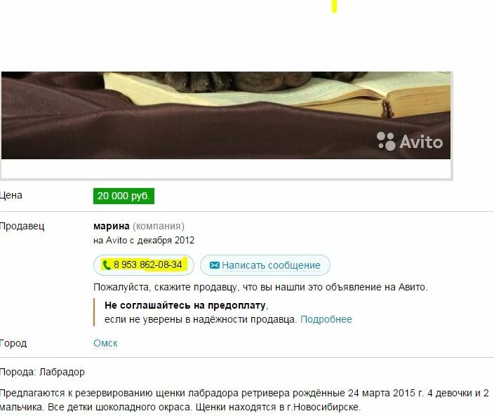 Не открывается авито на телефоне. Номер объявления авито. Авито Омск объявления. Открыть авито. Авито не открывается.