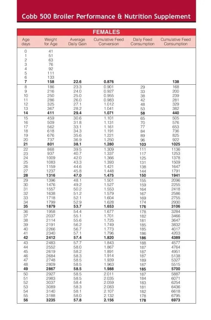 Таблица роста кобба 500 по дням. Таблица роста бройлеров Кобб 500 по дням. Таблица веса бройлеров Кобб 500. Таблица прироста бройлеров Кобб. Вес бройлера Кобб 500 по дням таблица.