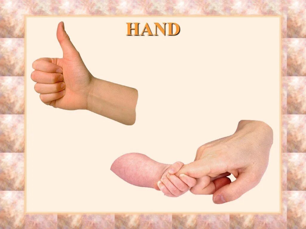 2 руки английский