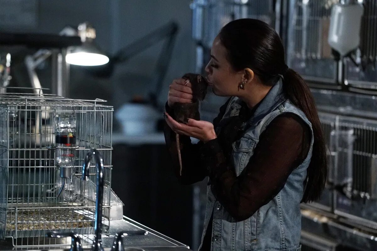 милая обманщица 6