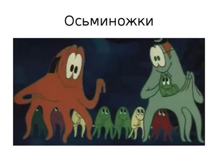 Про осьминожек