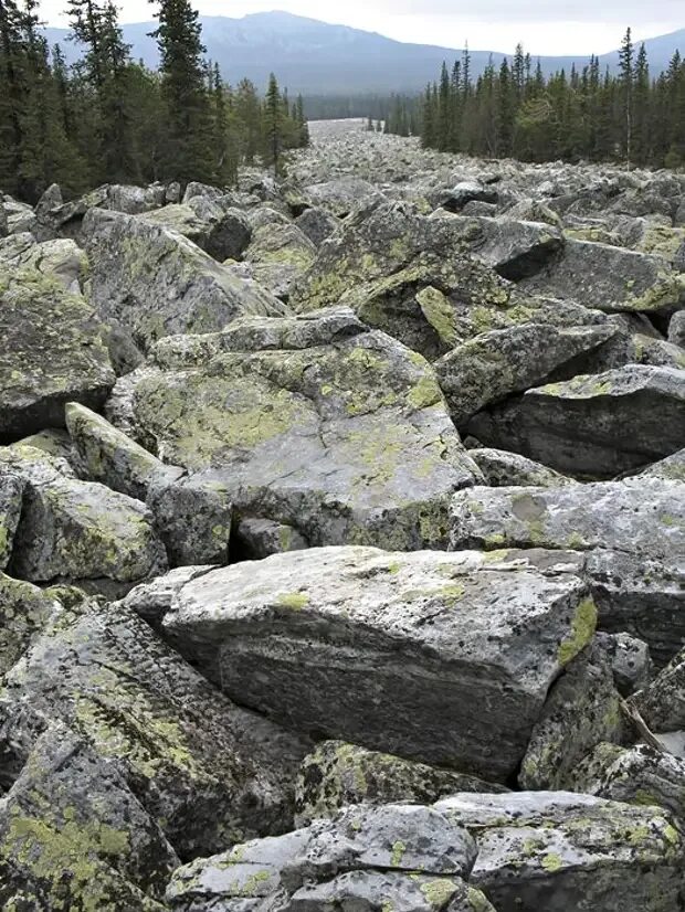 Южный Урал Таганай каменная река. Уральские горы Курумы. Курумы Урала каменные реки. Курумник Таганай.