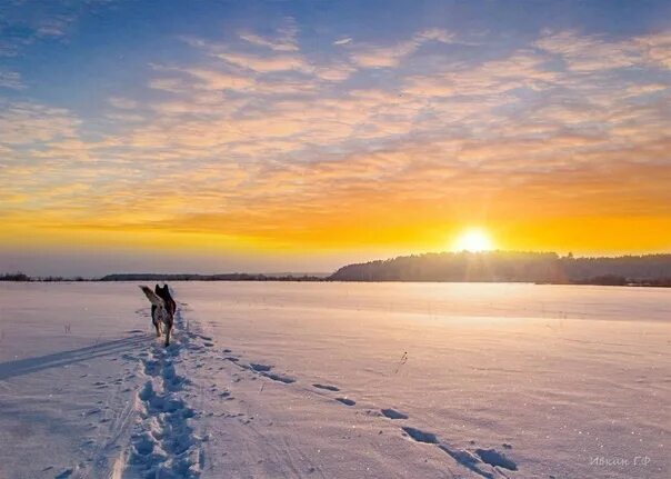 Ореол гатчинский парк зима. Темников зимой погода. Как называется степной ветер зимой 3 класс. Темников зима. Дворцовый парк гатчина зимой.