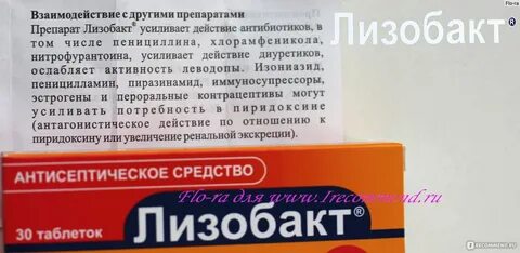 Лизобакт принимать до еды