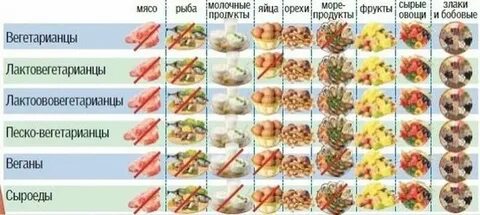 Чем питаются вегетарианцы