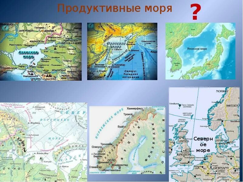 Самые продуктивные моря. Самые продуктивные моря. Биологическая продуктивность океана. Самые продуктивные моря. Биопродуктивность мирового океана.