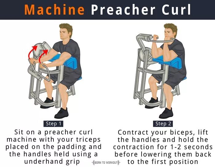 Preacher Curl Machine. Reverse Grip ez Bar Curl. Preacher Curl (wide Grip. Bar Preacher Bicep Curl.