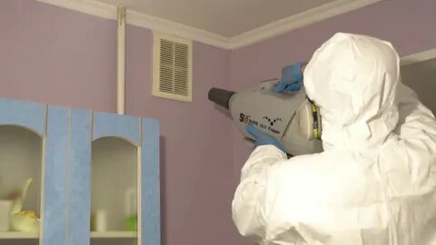 Туман от тараканов в квартире отзывы