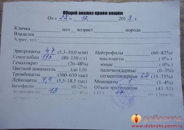 Почему долго делают анализ