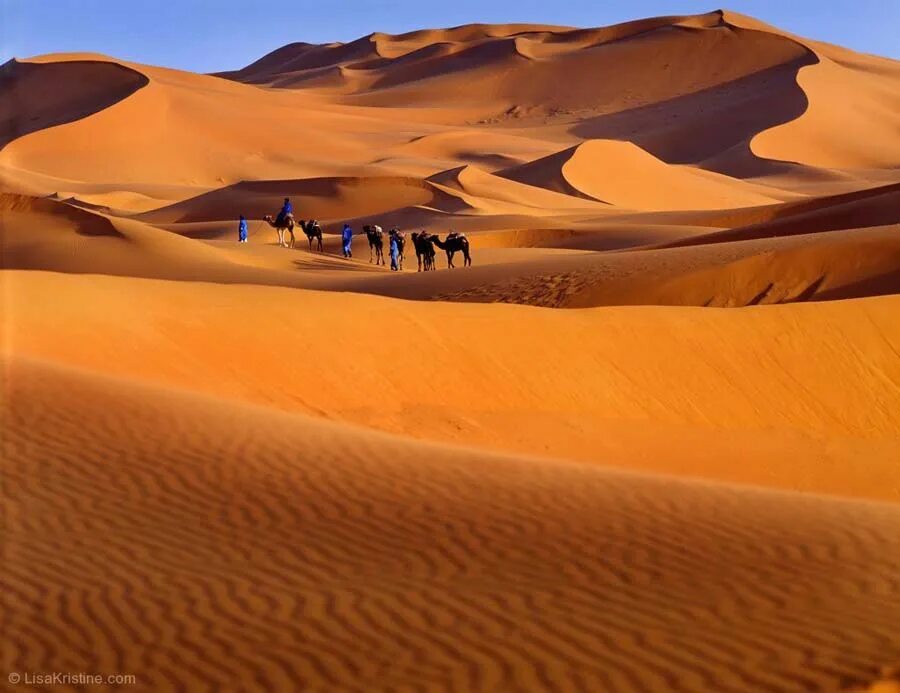 Дюна интересные факты. Пустыни Африки сахара. Оазис Марокко. Марракеш сахара. Пустыня сахара Оазис.