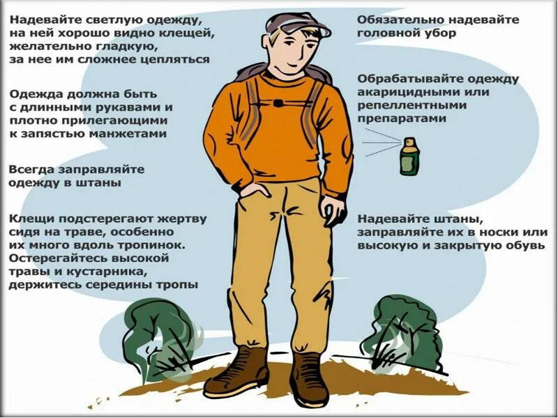 Одежда от клещей для человека. Одежда для похода в лес от клещей. правильная одежда от клещей. одежда в лес от клещей. средства индивидуальной защиты от клещей.