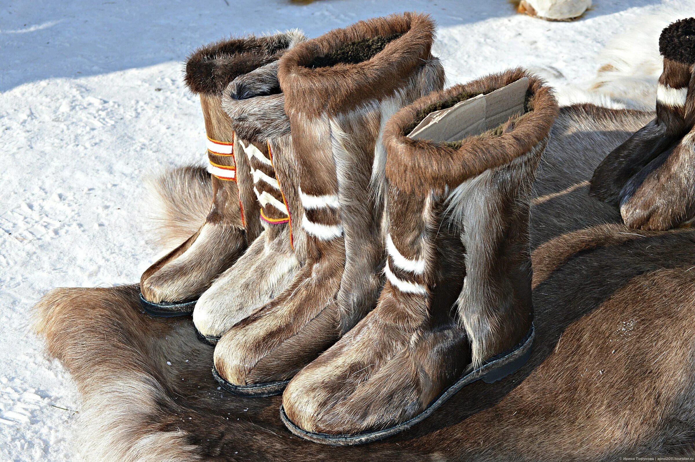 Одежда и обувь из оленьей шкуры. Мужская одежда эвенков. Обувь коряков торбаса. Одежда из оленьих шкур 5. Кухлянка эскимосы.