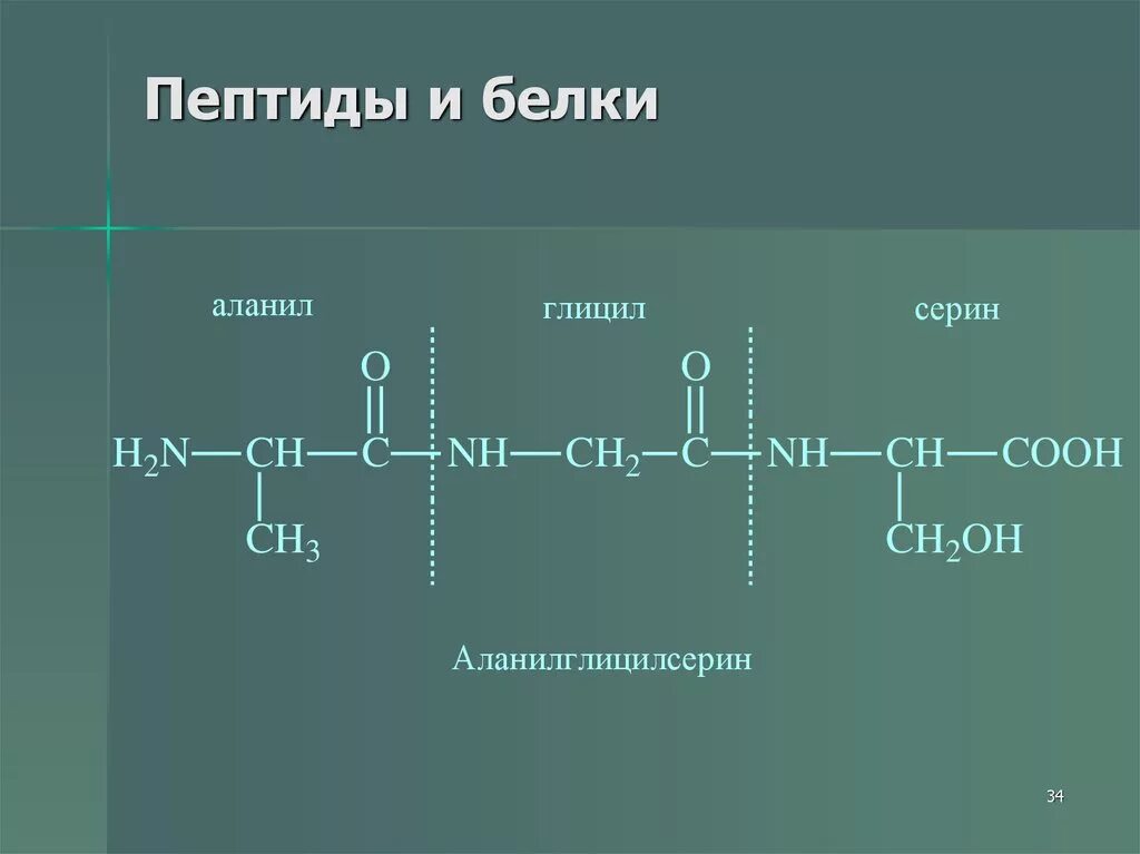 Структура белка с пептидами. Пептидный белок. Пептидный белок. Пептидный белок. Формула пептидной связи белков.
