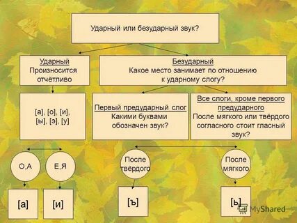 Ударный гласный звук правило