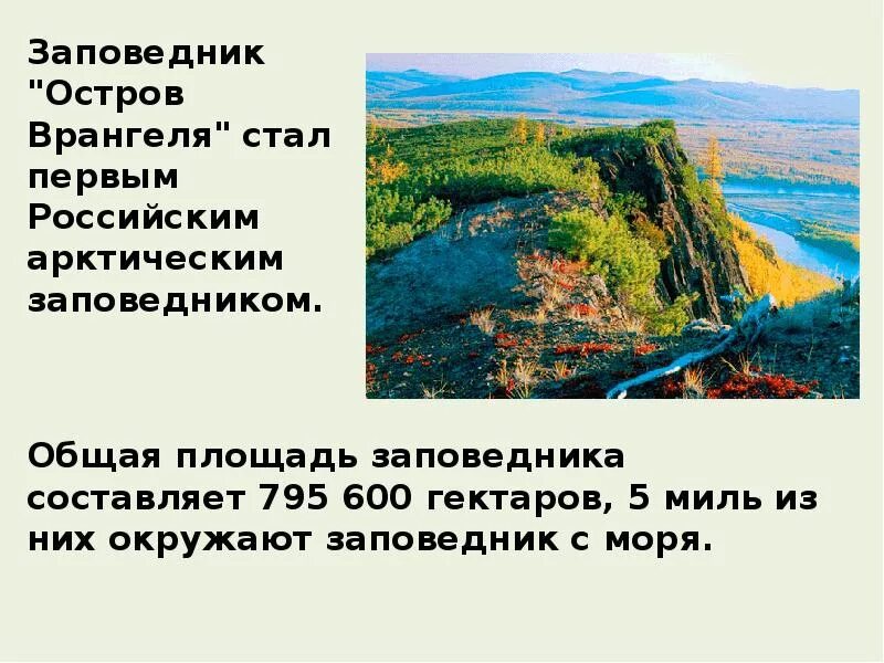 Проект заповедники россии 4 класс. Заповедники и национальные парки России 4 класс. По заповедникам и национальным паркам. Заповедники и национальные парки России проект. Заповедники и национальные парки России 4 класс окружающий мир.