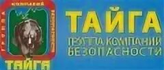 Тайга групп
