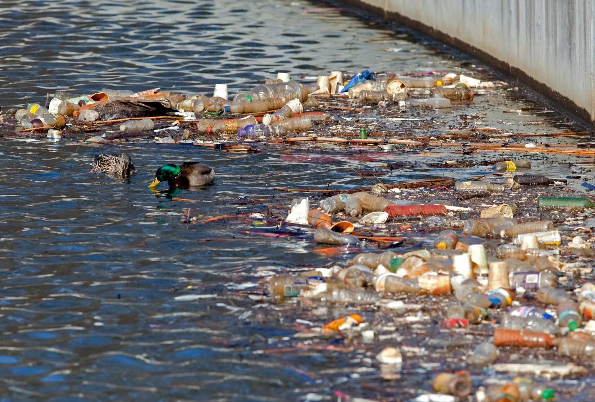 Загрязнение воды. Загрязнение водоемов. Загрязнение воды отходами. Загрязнение воды мусором. Rains waste