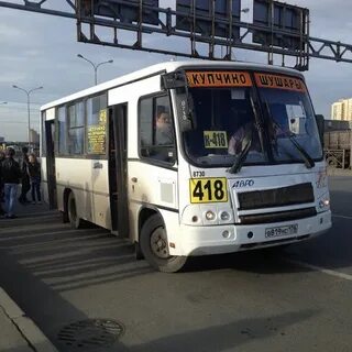 246 автобус купчино