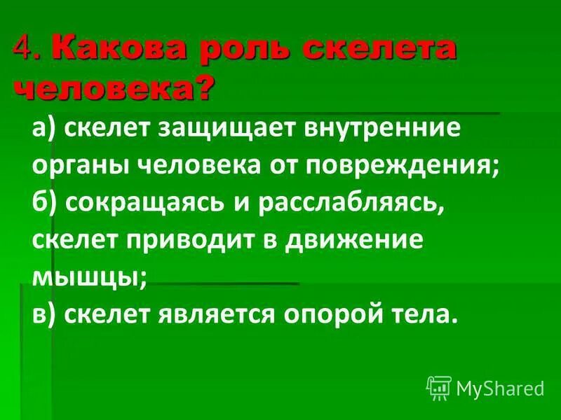 какова роль скелета человека 3. 4. 4. какова роль скелета человека. значение скелета.