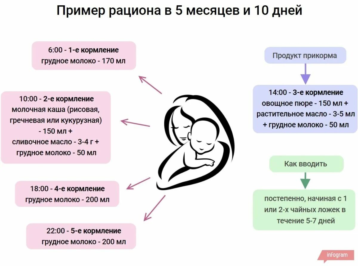Кормление ребенка в 5 месяцев на грудном. Пример кормления в 5 месяцев. Рацион 5 месячного ребенка на гв. Кормление ребенка в 5-6 месяцев на грудном вскармливании. Еда ребенка в 5 месяцев