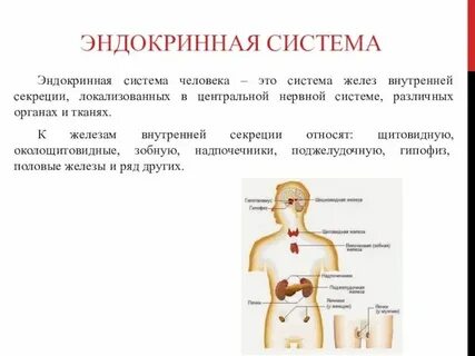 Какую функцию выполняют девушки