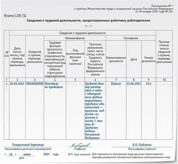 Какие отчеты надо сдать при увольнении
