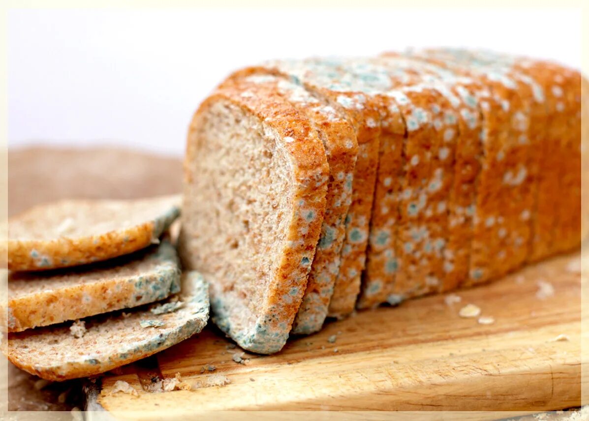 Хлеб. Плесень на хлебе. Мокрый хлеб. Плесневение хлеба. Ела хлеб с плесенью