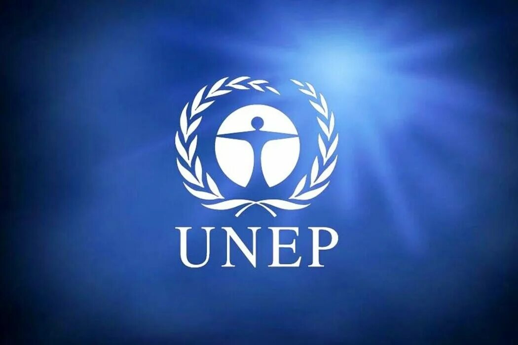Un environment. Юнеп кения. Штаб квартира юнеп найроби. Организация оон по охране окружающей среды (юнеп). Организация оон по охране окружающей среды (юнеп).