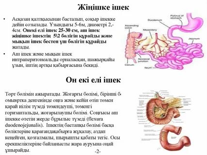 Әкесі порно смотреть қызын трахает